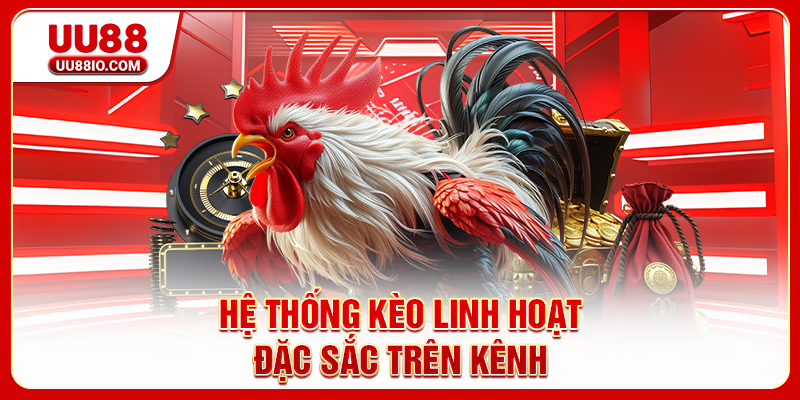 Hệ thống kèo linh hoạt đặc sắc trên kênh
